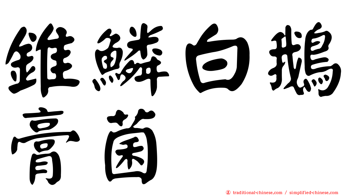 錐鱗白鵝膏菌