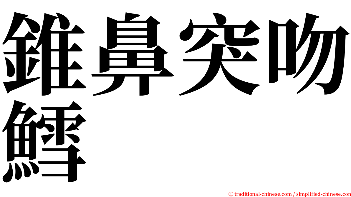 錐鼻突吻鱈 serif font