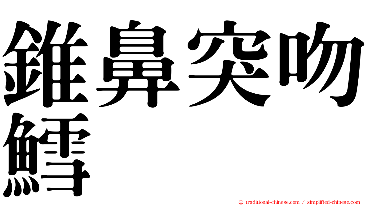 錐鼻突吻鱈