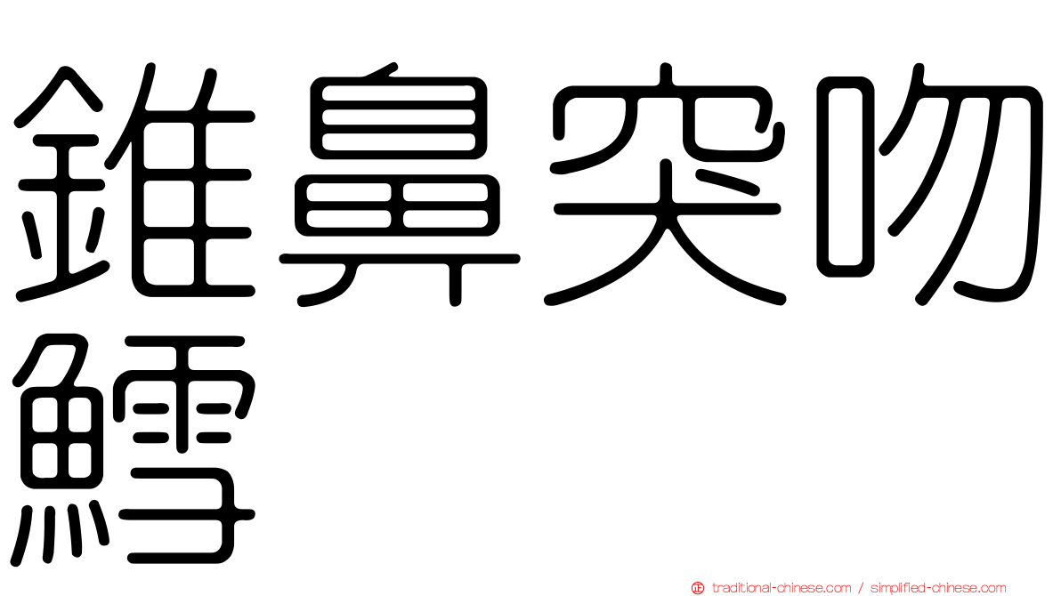 錐鼻突吻鱈