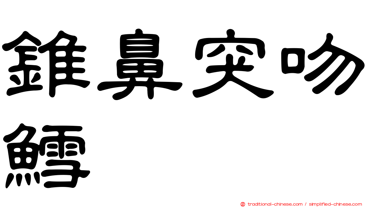 錐鼻突吻鱈