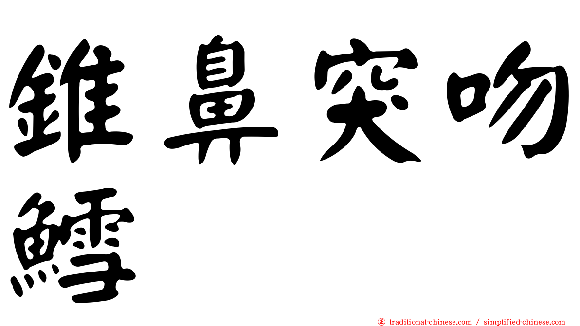錐鼻突吻鱈