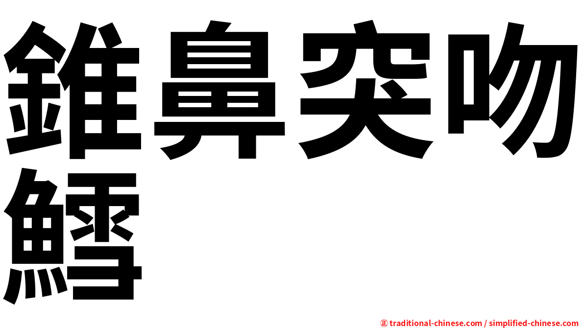 錐鼻突吻鱈