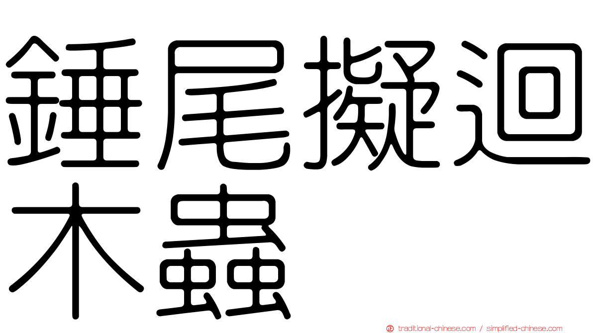 錘尾擬迴木蟲