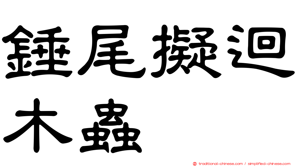 錘尾擬迴木蟲