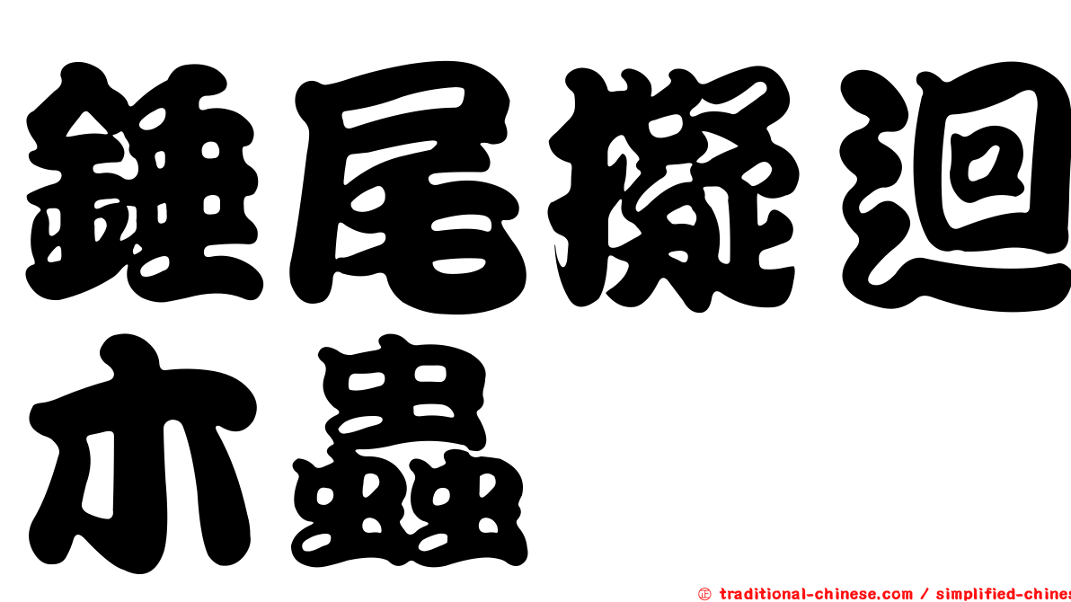 錘尾擬迴木蟲