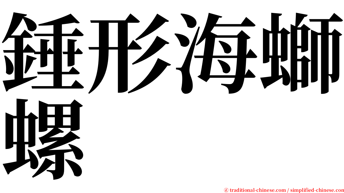 錘形海螄螺 serif font