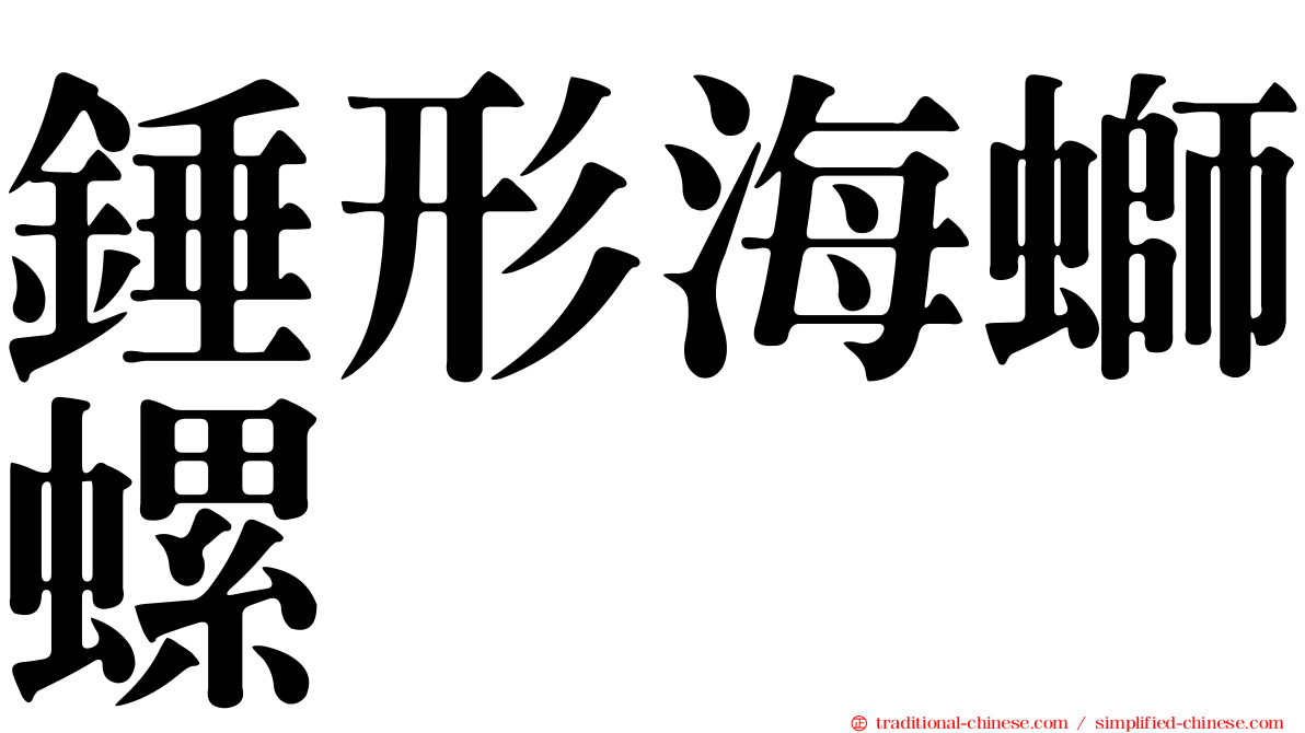 錘形海螄螺