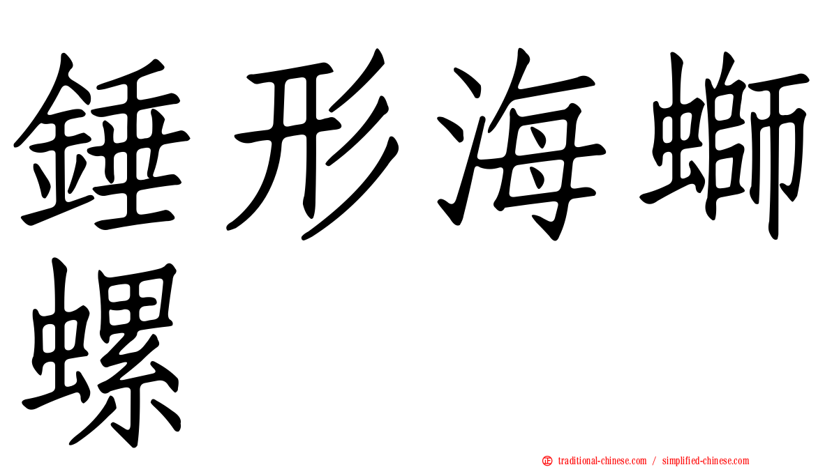 錘形海螄螺