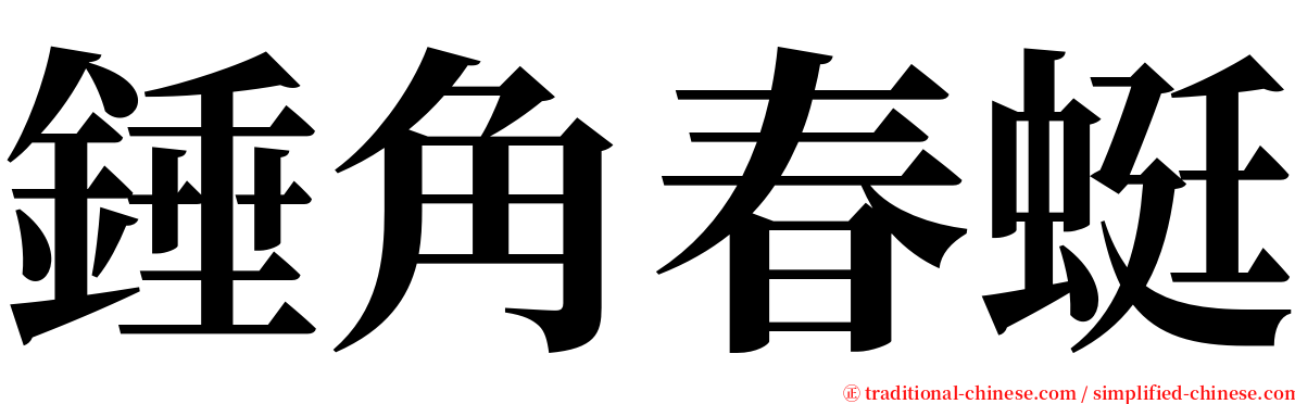 錘角春蜓 serif font