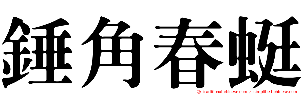 錘角春蜓