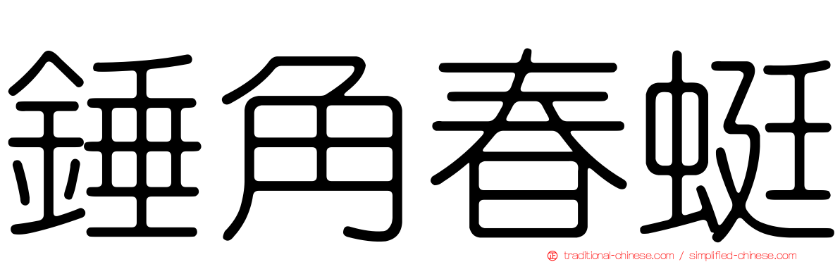 錘角春蜓