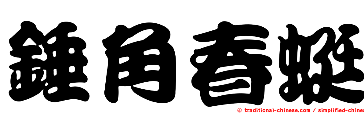 錘角春蜓