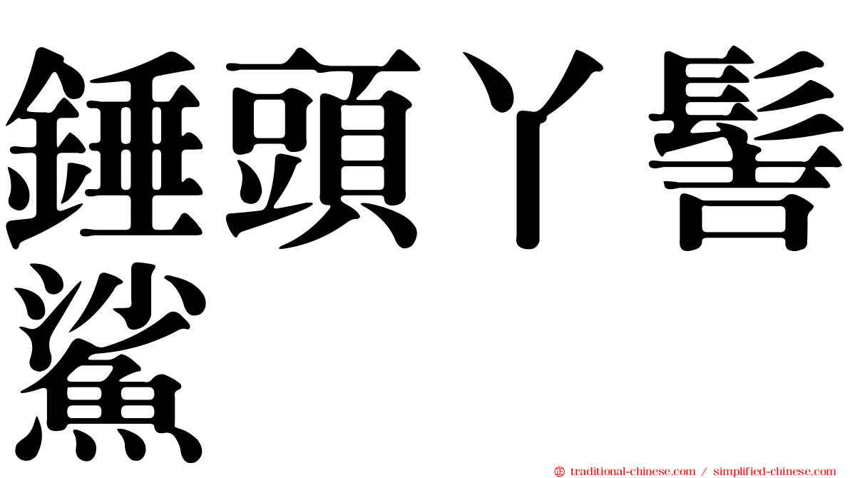錘頭丫髻鯊