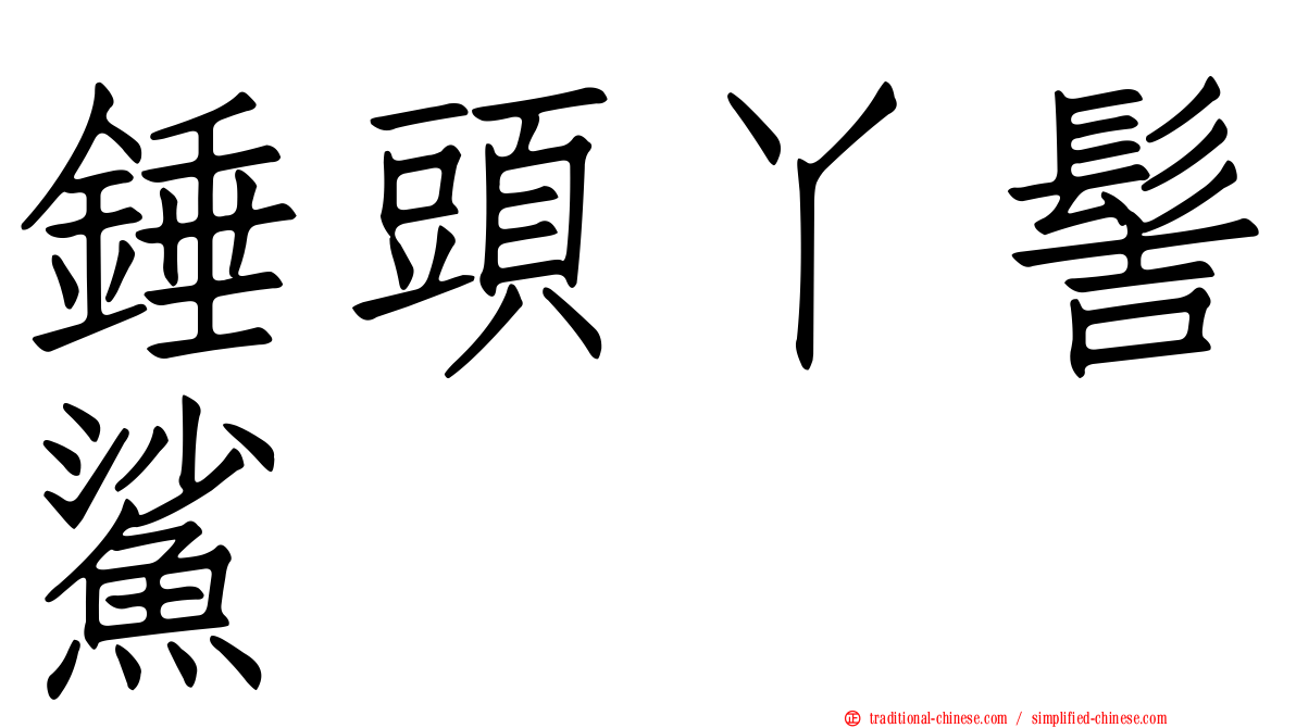 錘頭丫髻鯊