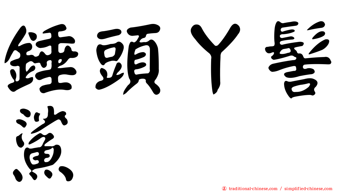 錘頭丫髻鯊