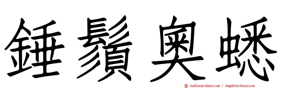 錘鬚奧蟋