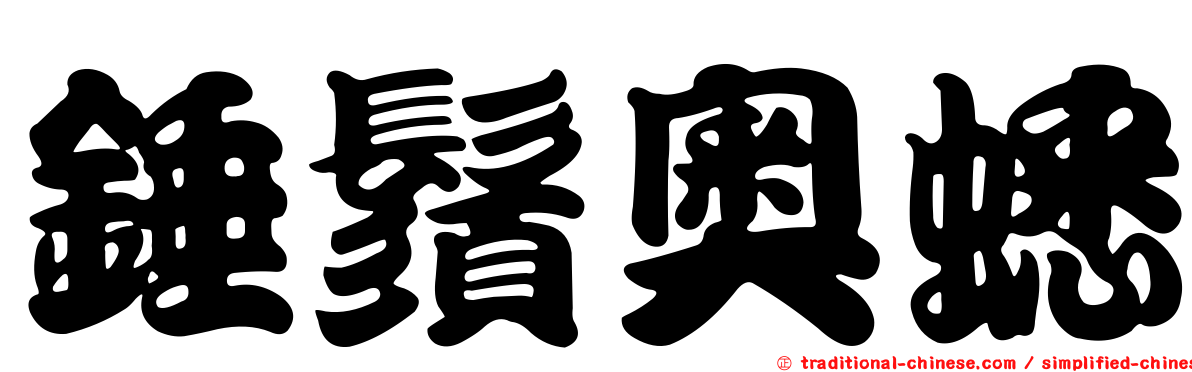 錘鬚奧蟋