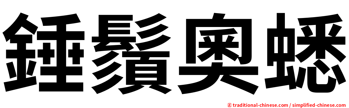 錘鬚奧蟋