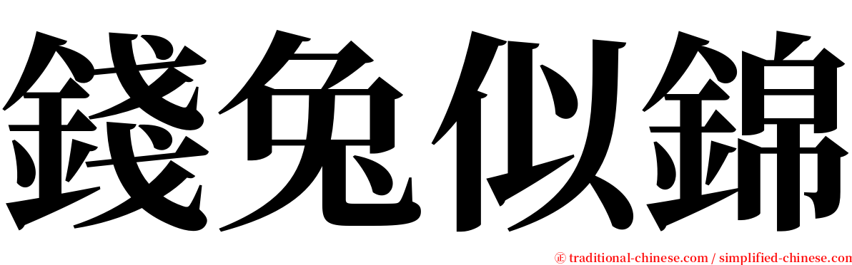 錢兔似錦 serif font