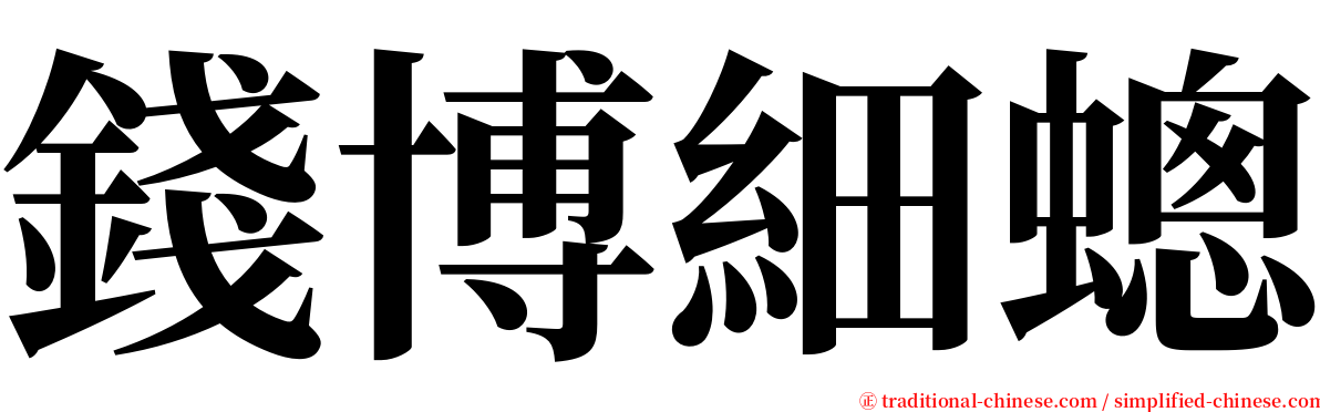 錢博細蟌 serif font