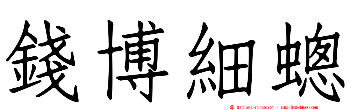 錢博細蟌
