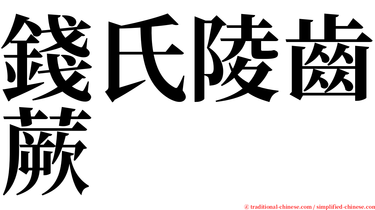 錢氏陵齒蕨 serif font
