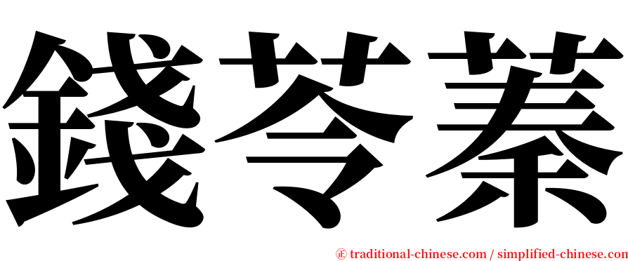 錢苓蓁 serif font