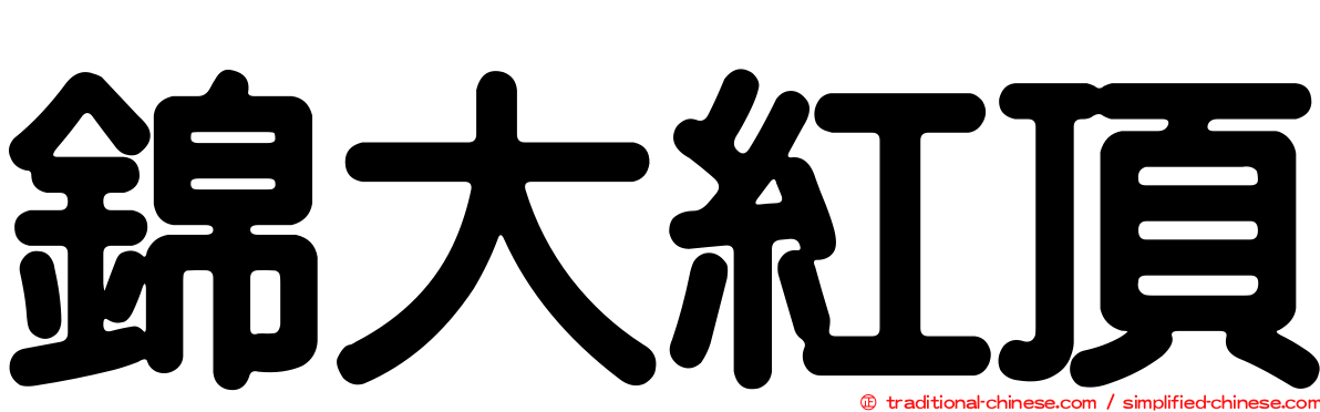 錦大紅頂