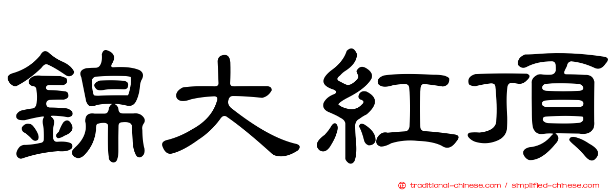 錦大紅頂