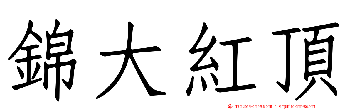 錦大紅頂