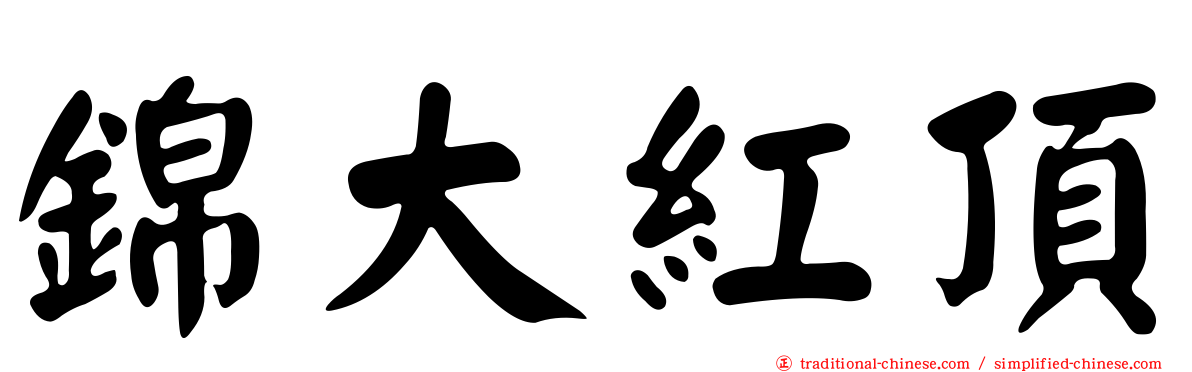 錦大紅頂