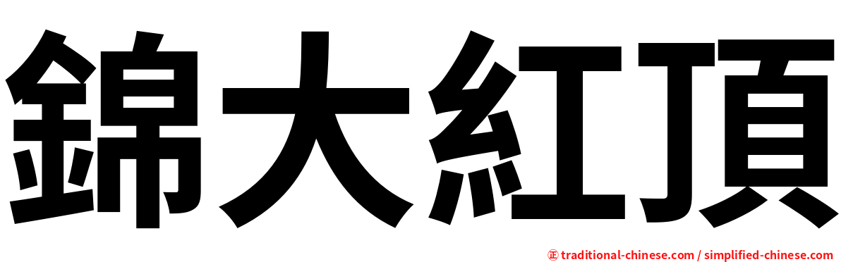 錦大紅頂