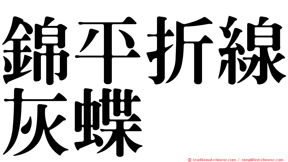 錦平折線灰蝶