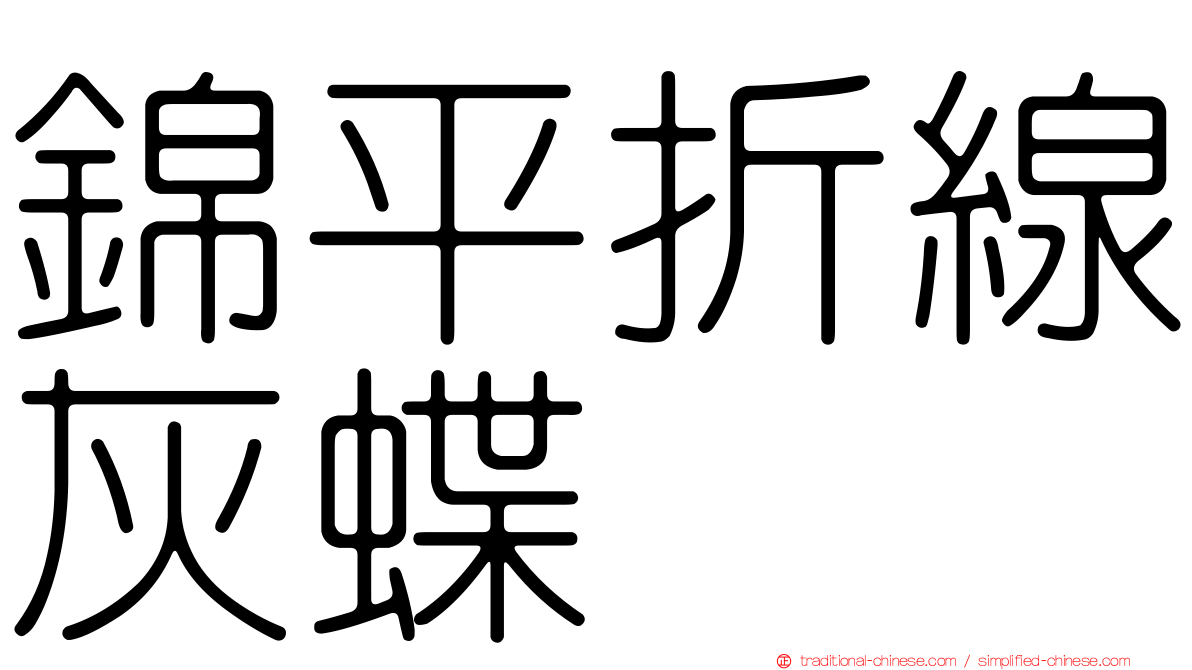 錦平折線灰蝶