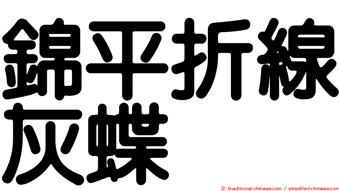 錦平折線灰蝶