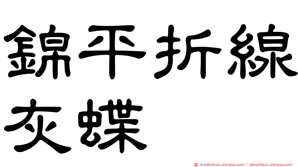 錦平折線灰蝶