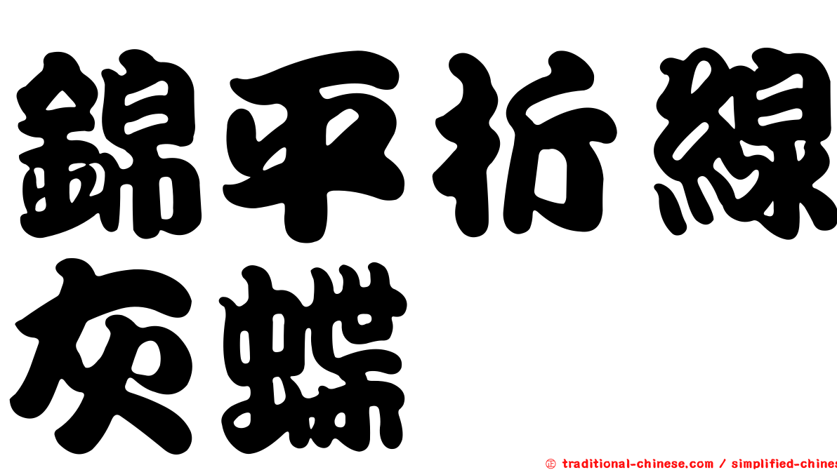 錦平折線灰蝶