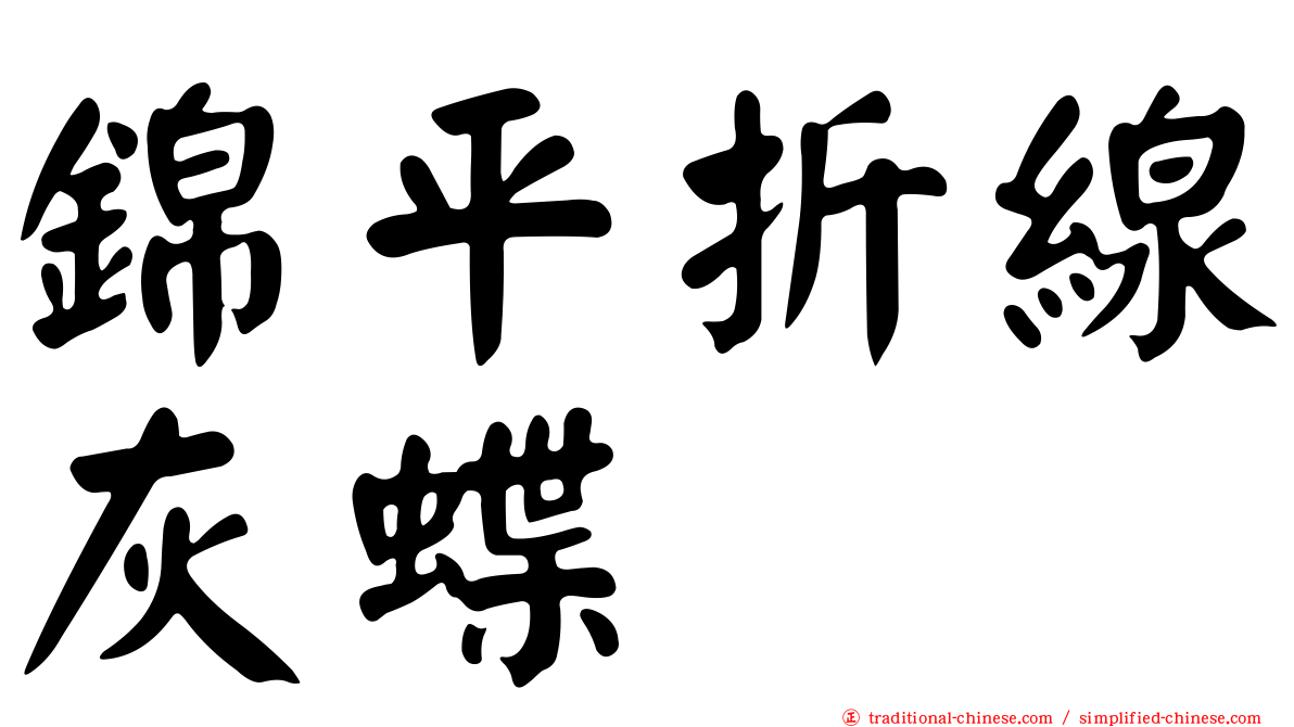 錦平折線灰蝶