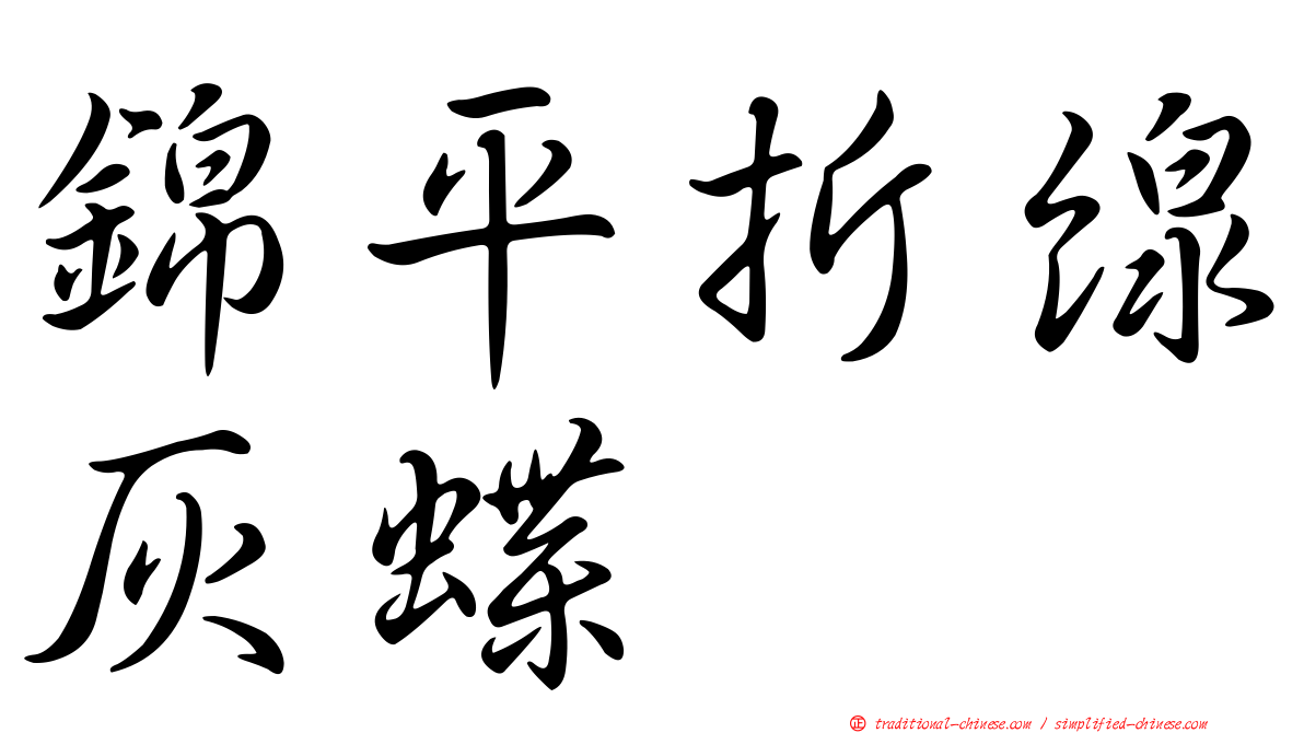 錦平折線灰蝶
