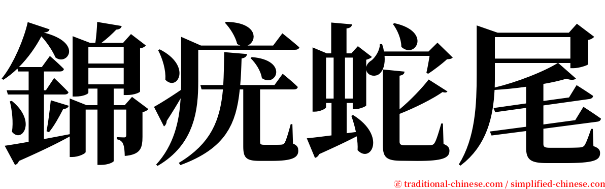 錦疣蛇尾 serif font