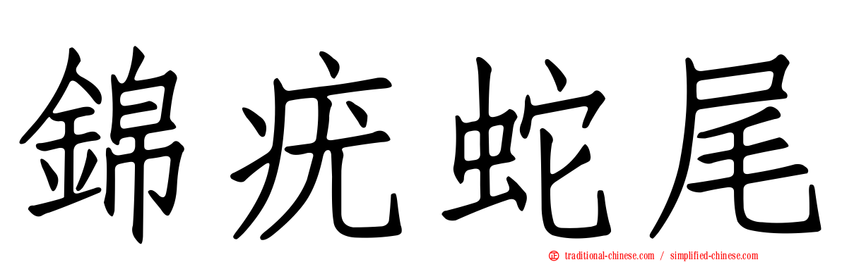 錦疣蛇尾