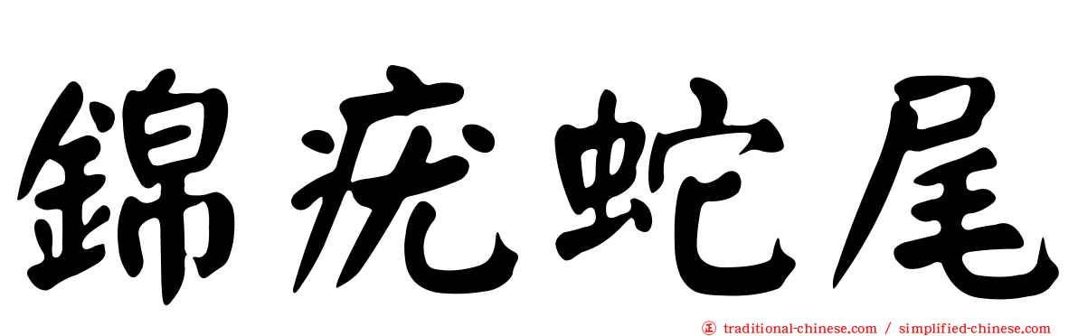 錦疣蛇尾