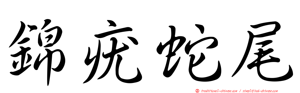 錦疣蛇尾