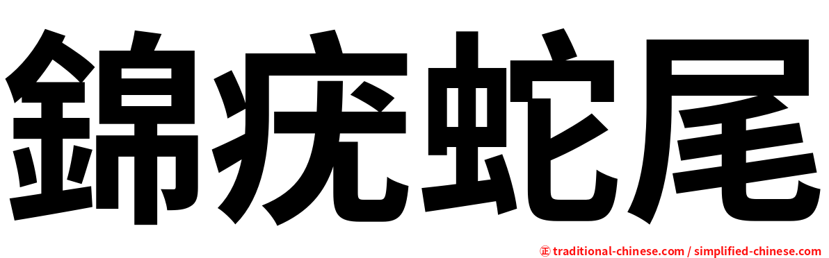 錦疣蛇尾