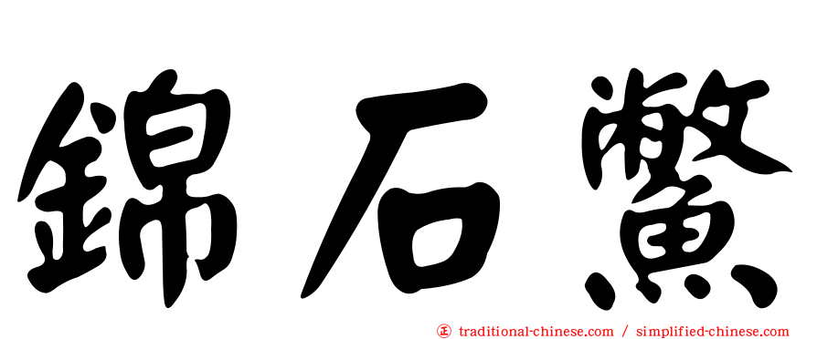 錦石鱉