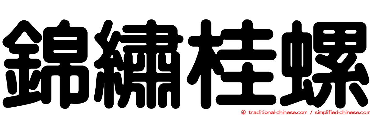 錦繡桂螺