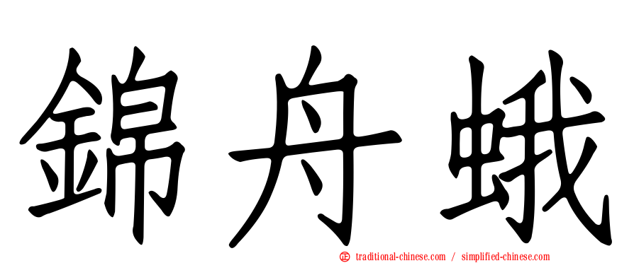 錦舟蛾