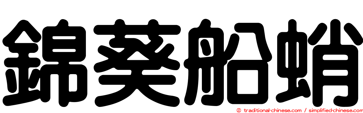 錦葵船蛸