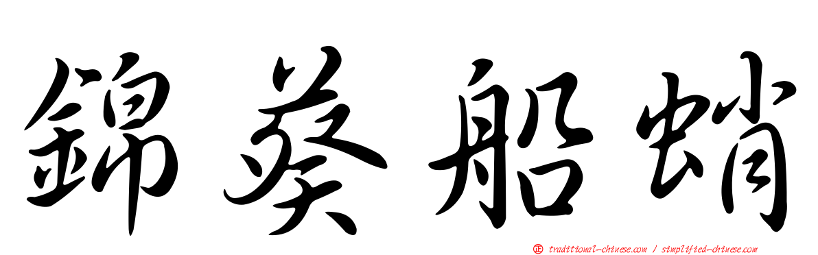 錦葵船蛸